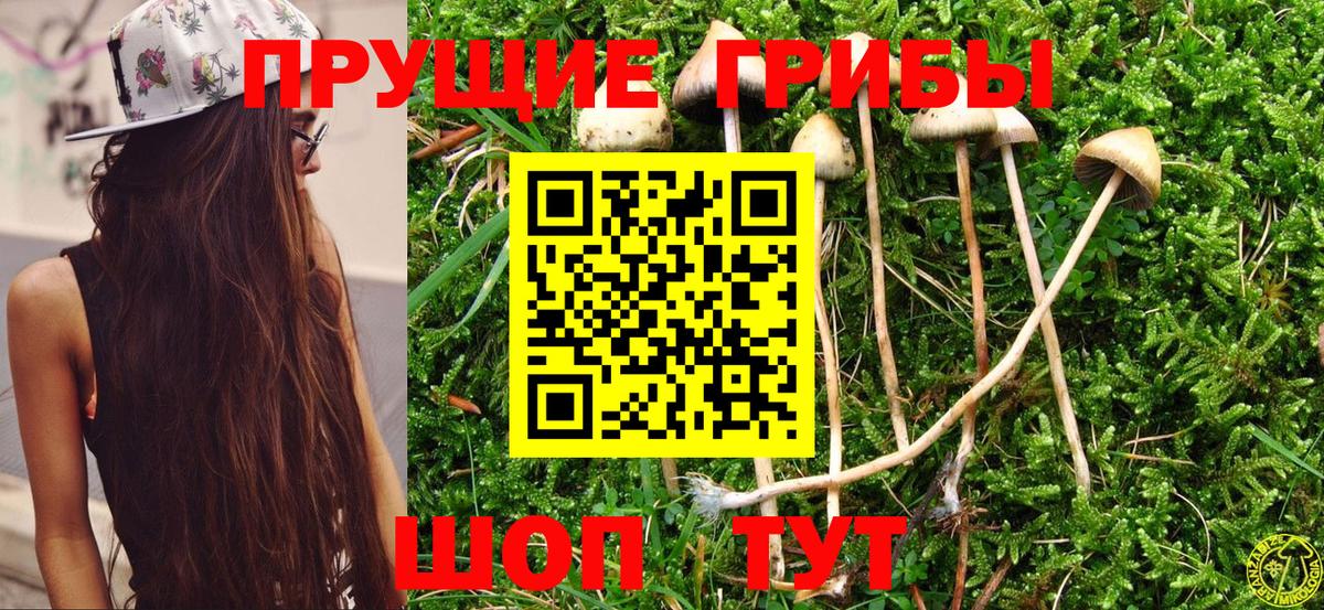 Галлюциногенные грибы GOLDEN TEACHER  Вход с VPN  Копейск 